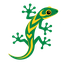 Lizard X